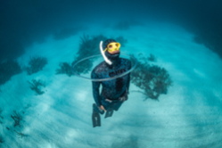 SSI Freediving