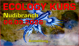 Nudibranch Ecology