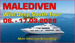 Tauchsafari Malediven
