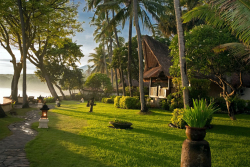 Bali - Garten
