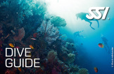 SSI Dive Guide Kurs