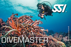 SSI Divemaster Kurs