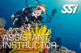 Assistant Instructor